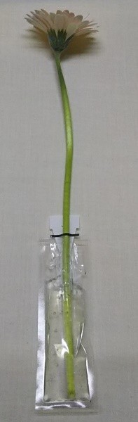  срезанные цветы для гарантия вода колпак [ маленький eko желе 10g] продажа поотдельности ( содержание : eko желе примерно 10g)