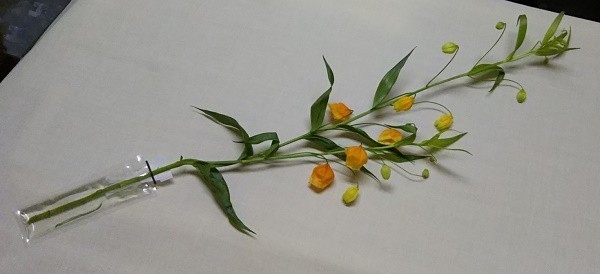  срезанные цветы для гарантия вода колпак [ маленький eko желе 10g] продажа поотдельности ( содержание : eko желе примерно 10g)