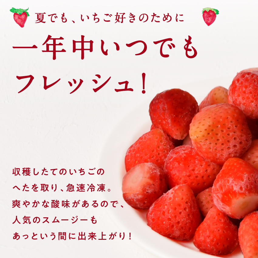  beautiful strawberry 1kg(500g×2 sack ) freezing strawberry . have machine cultivation domestic production Miyazaki prefecture production fresh smoothie sweets gift present free shipping 