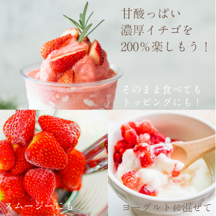  beautiful strawberry 1kg(500g×2 sack ) freezing strawberry . have machine cultivation domestic production Miyazaki prefecture production fresh smoothie sweets gift present free shipping 