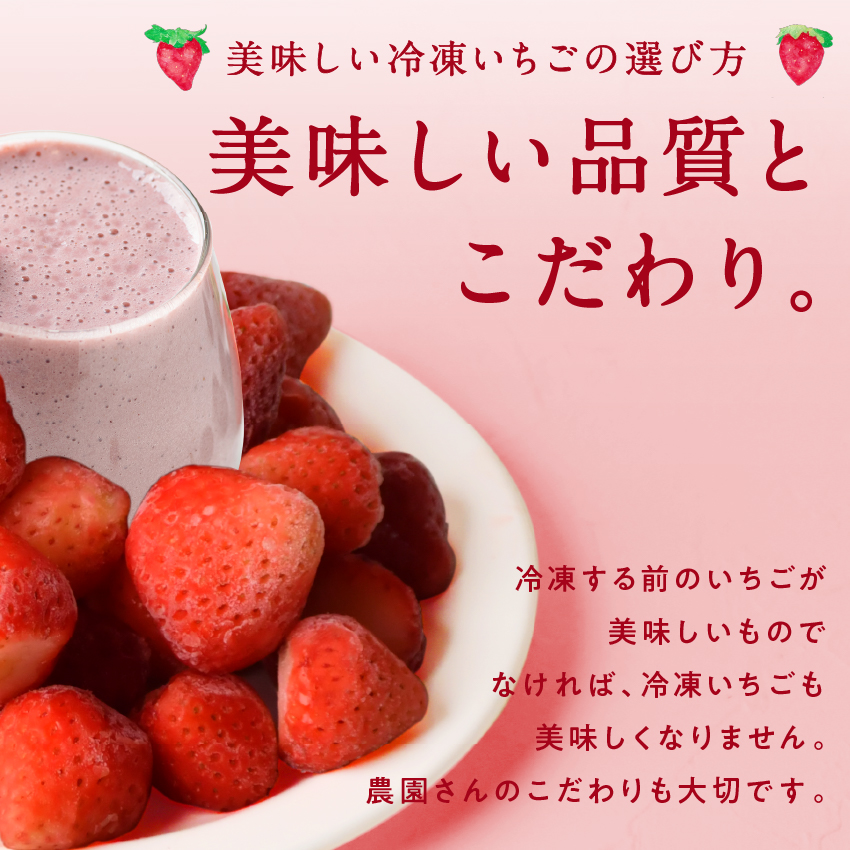  beautiful strawberry 1kg(500g×2 sack ) freezing strawberry . have machine cultivation domestic production Miyazaki prefecture production fresh smoothie sweets gift present free shipping 
