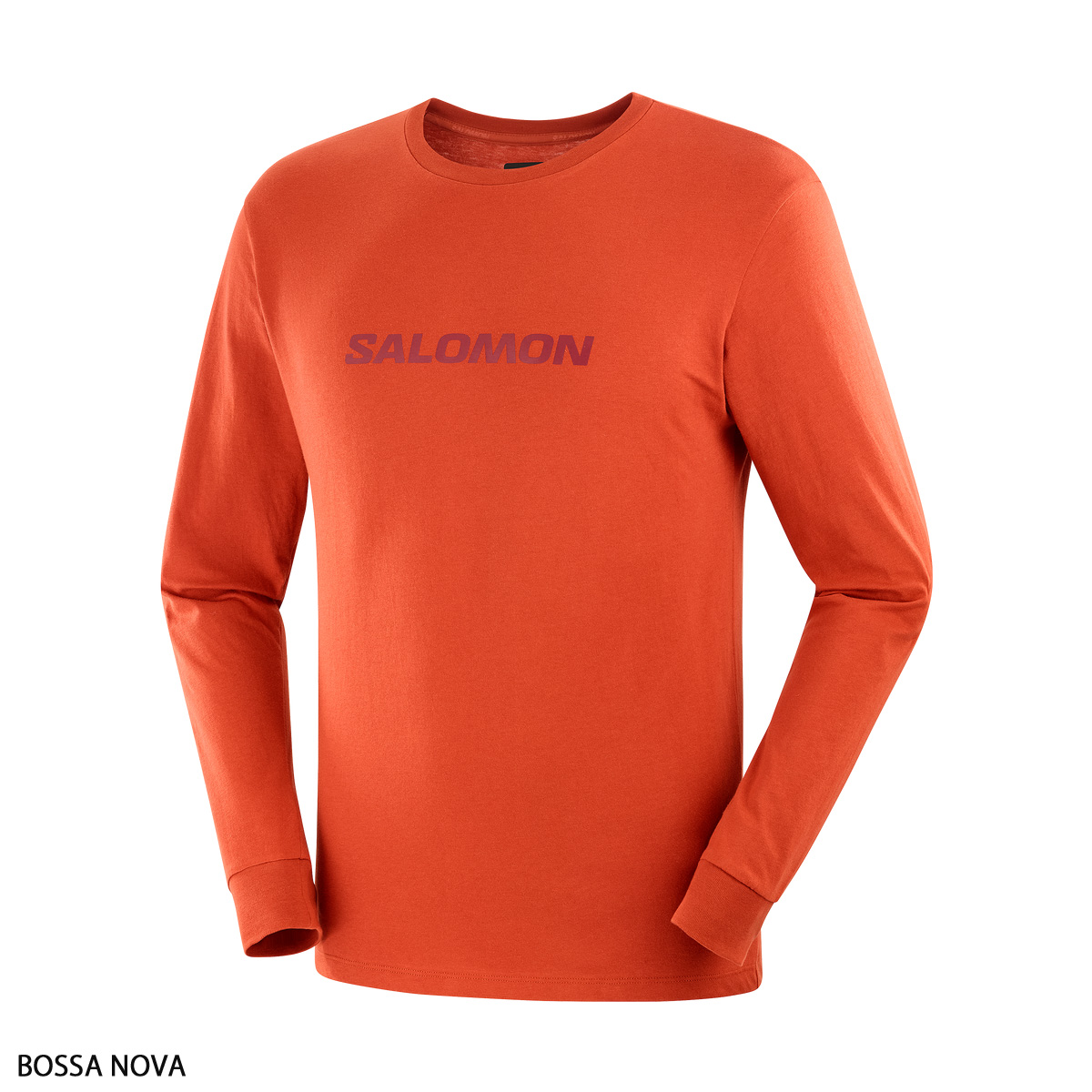 SALOMON Salomon лыжи одежда мужской <2024> SAL LOGO PERF LS TEE M / LC2231