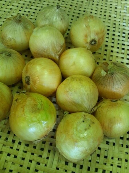  with translation new onion * onion non-standard goods Saga prefecture production 1 case approximately 10kg
