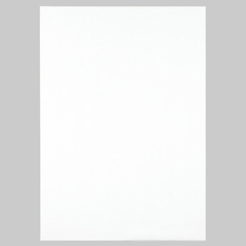 TANOSEE иммитация бумага ( тянуть модель ) корпус 765×1085mm одноцветный белый 1 кейс (20 листов )