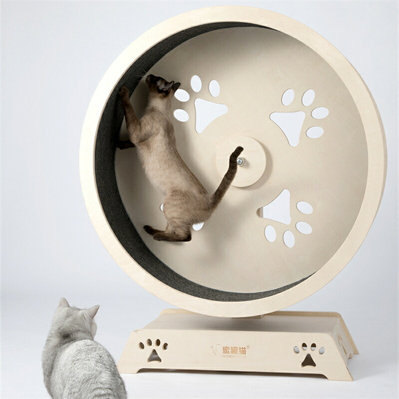  cat wheel most discussed cat exclusive use room Runner construction un- necessary quiet sound self-propelled motion shortage health diet wheel toy -stroke less departure .