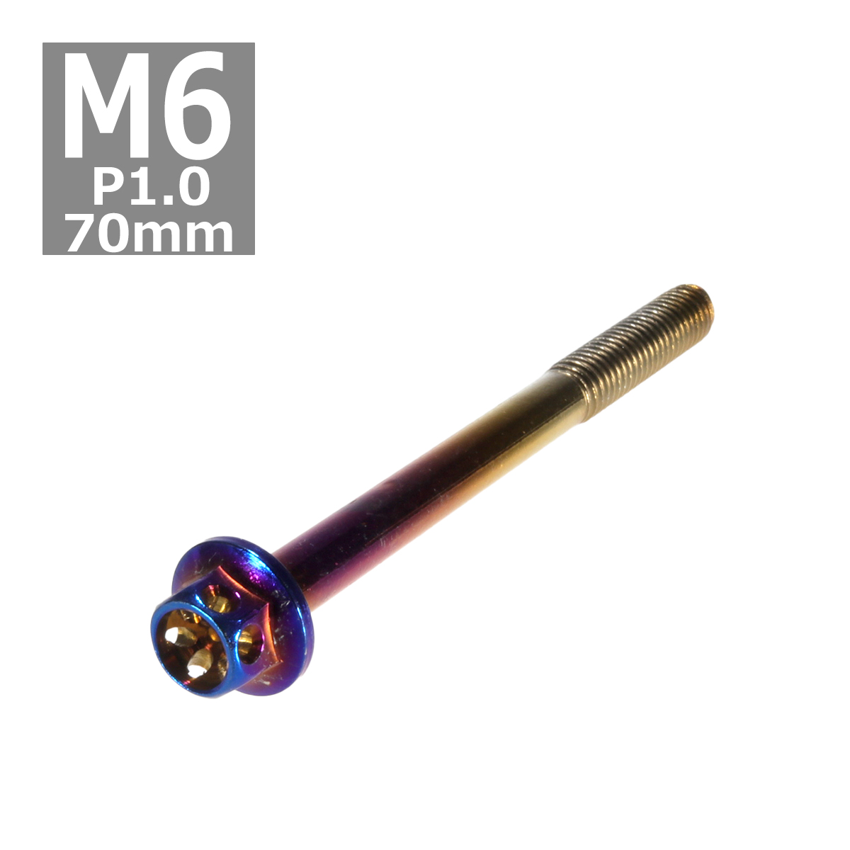 ステンレス ハンガーボルト M6x75