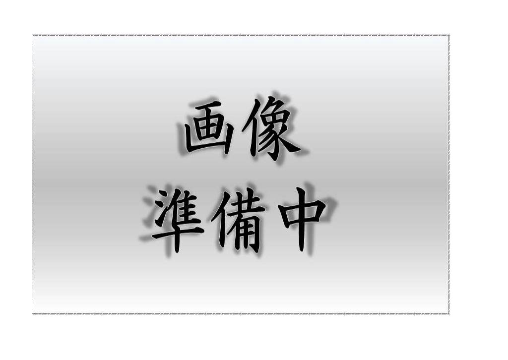昼白色