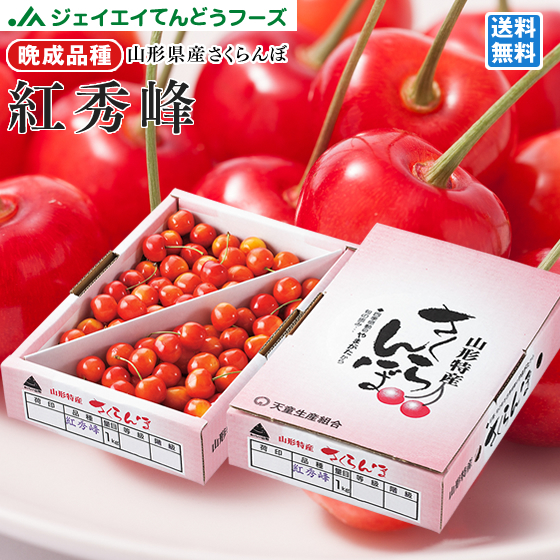  cherry . preeminence .. home for L sphere and more approximately 1kg Yamagata prefecture production rose ... home use free shipping ( one part region excepting ) rc21