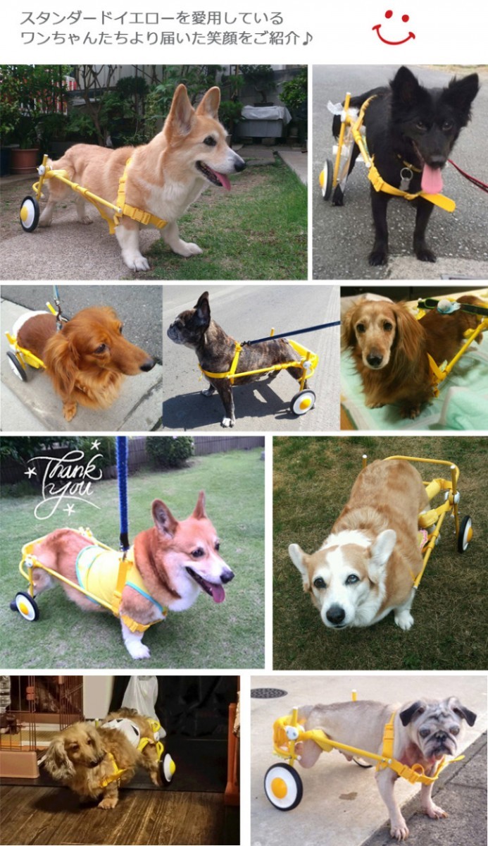  dog. wheelchair M size yellow dog for wheelchair nursing after legs support wheelchair Corgi f Rebel 