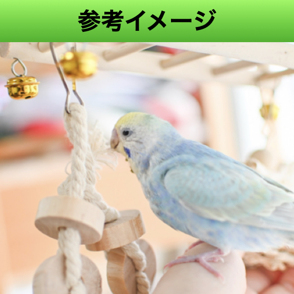  bird toy bird toy set bird. toy hanging lowering hanging weight lowering parrot perch gnawing wood 7 point 