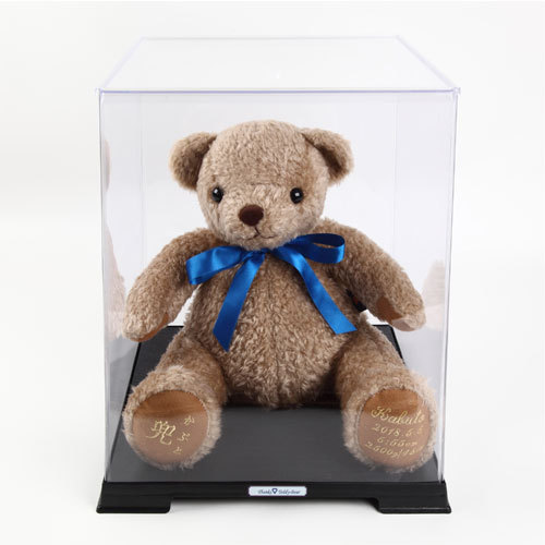  weight Bear weight Bear weight doll case doll soft toy transparent clear storage box size B goods 