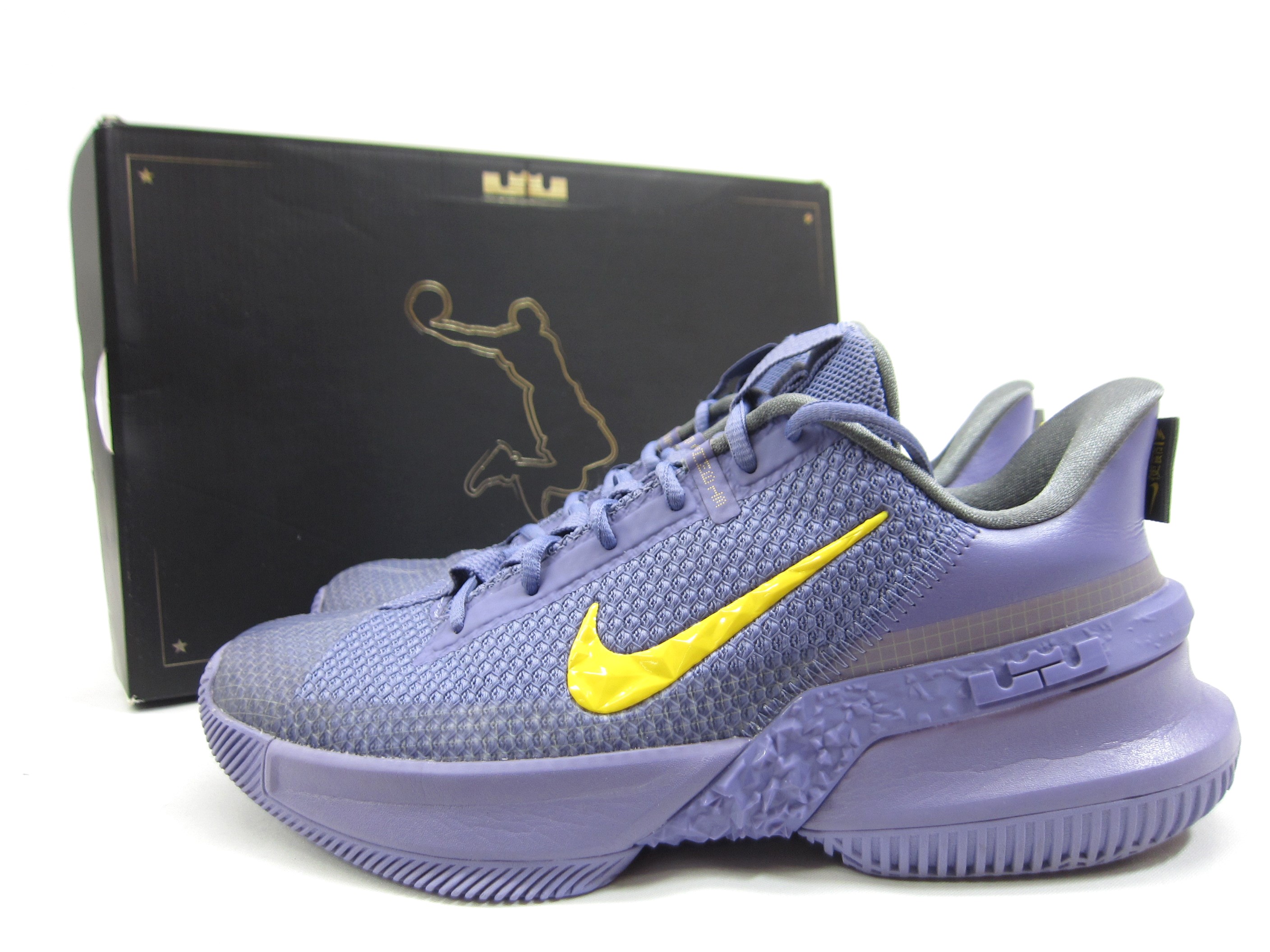 NIKE LEBRON AMBASSADOR XIII ナイキ レブロン アンバサダー 13 CQ9329  