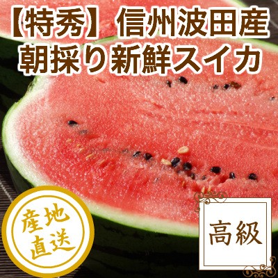  арбуз фрукты Fruits высококлассный Shinshu волна рисовое поле арбуз очень большой шар 1 шар для бытового использования 9kg и больше Nagano префектура Matsumoto производство прямая поставка от производителя бесплатная доставка . средний изначальный жара средний . видеть Mai осталось жара . видеть Mai подарок 