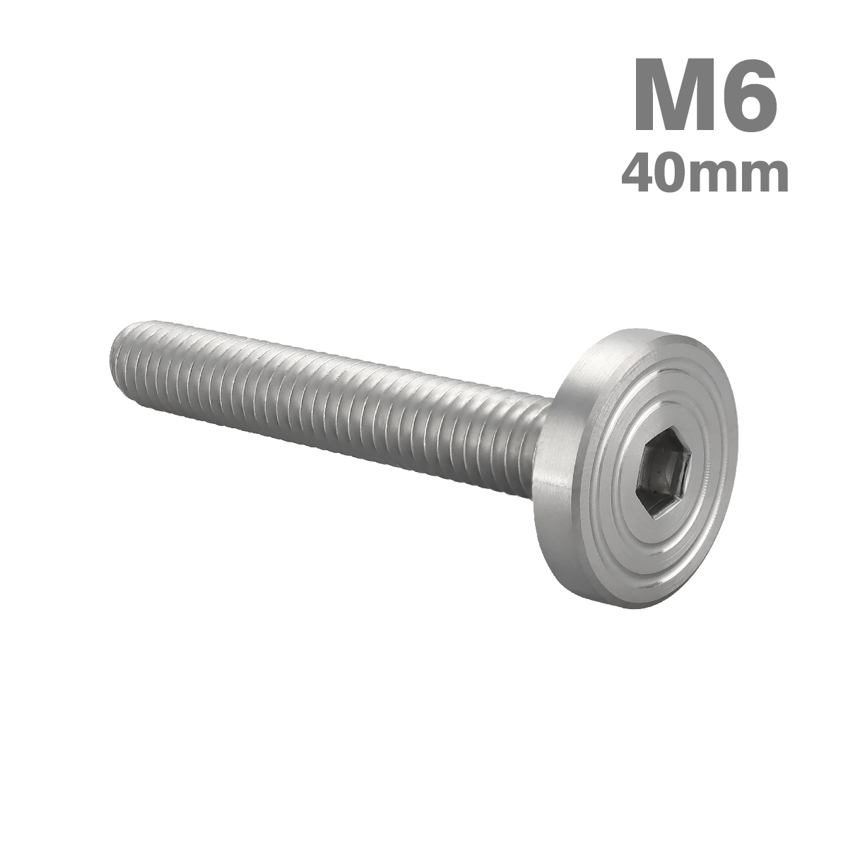 нержавеющая сталь болт M6×40mm P1.0 коврик модель ракушка head Flat серебряный цвет TR0832