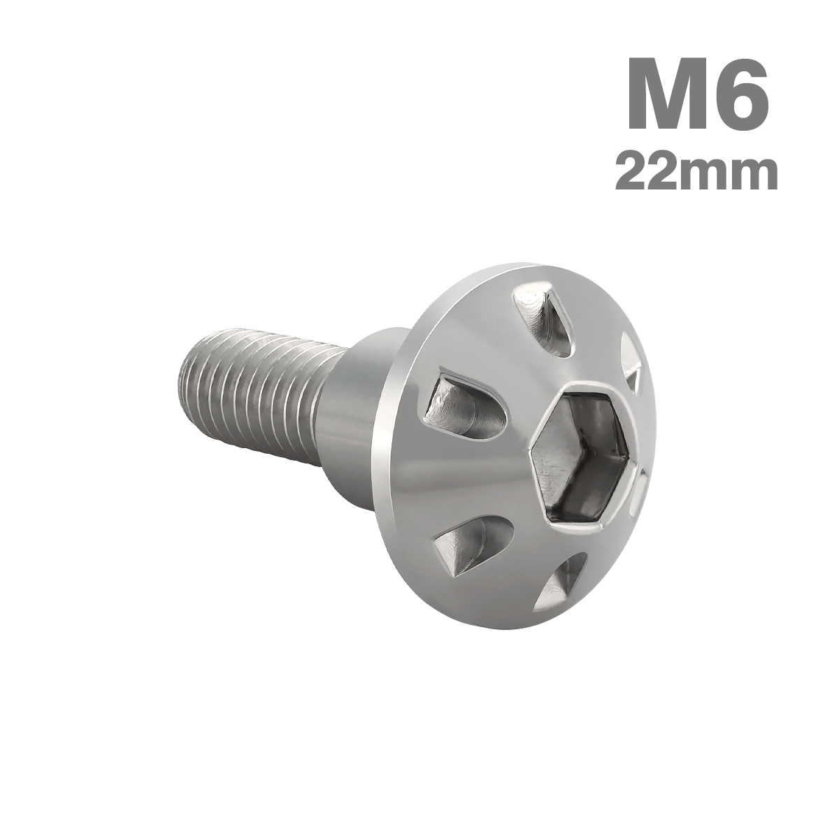  нержавеющая сталь болт M6×22mm P1.0 иен тубус часть диаметр 9mm уровень имеется болт шестигранная головка серебряный цвет TR0871
