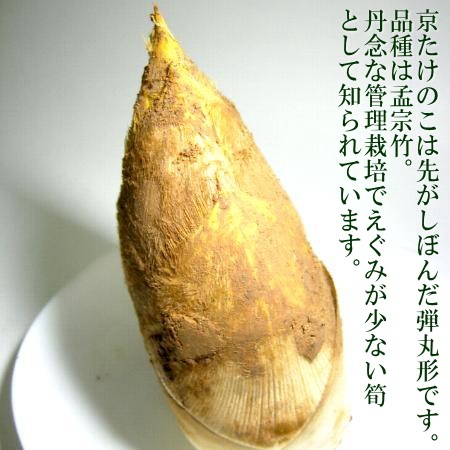 . morning .. capital bamboo shoots approximately 4kg 4~10ps.@ rom and rear (before and after) rice .. present economical Kyoto west mountain production | spring capital ... bamboo. .takenoko