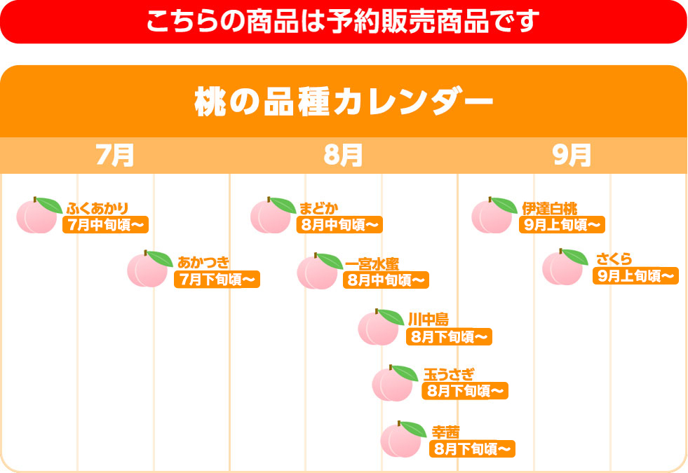  with translation peach 2.7kg Fukushima prefecture mulberry . block Fukushima . home use 2.7kg 8~18 sphere direct delivery from producing area free shipping 