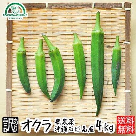  okro 4kg raw free shipping with translation less pesticide Okinawa prefecture production Ishigakijima production agriculture . direct delivery ... Okinawa production 