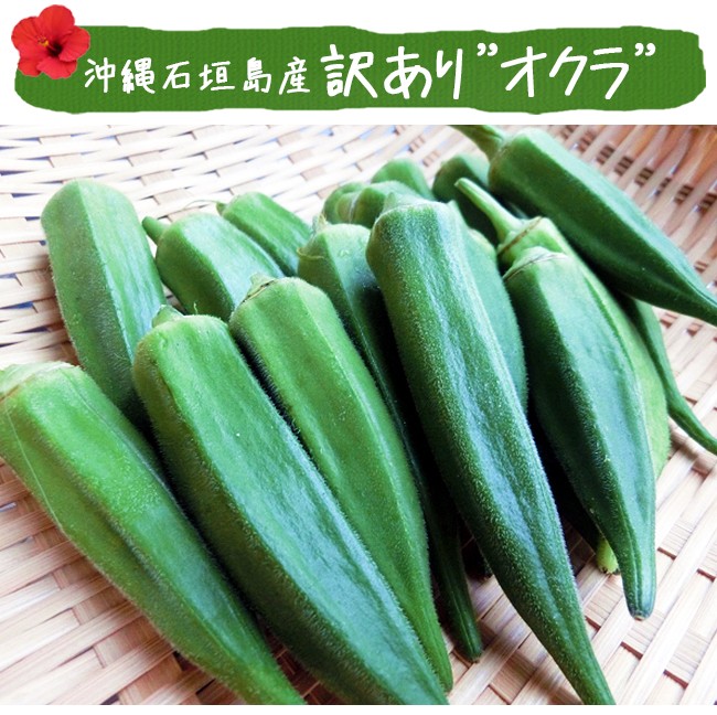  okro 4kg raw free shipping with translation less pesticide Okinawa prefecture production Ishigakijima production agriculture . direct delivery ... Okinawa production 