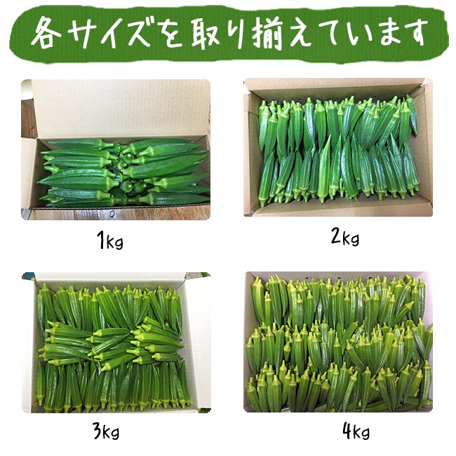  okro 4kg raw free shipping with translation less pesticide Okinawa prefecture production Ishigakijima production agriculture . direct delivery ... Okinawa production 