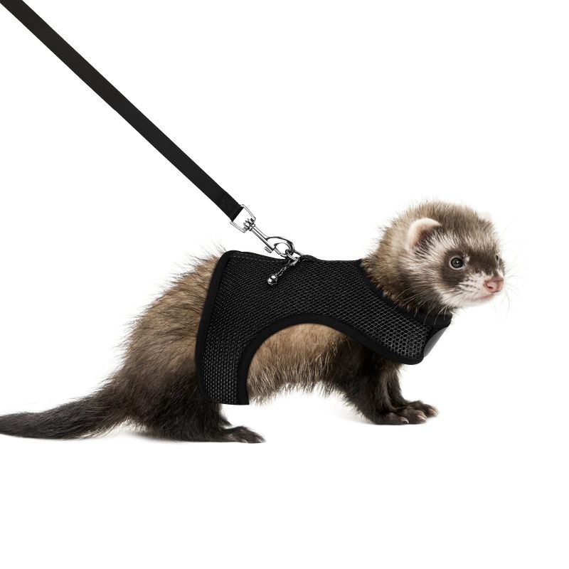  harness lead small animals for Pawaboo... for touch fasteners the best Harness traction rope bell attaching harness coming off difficult installation easy the first heart 