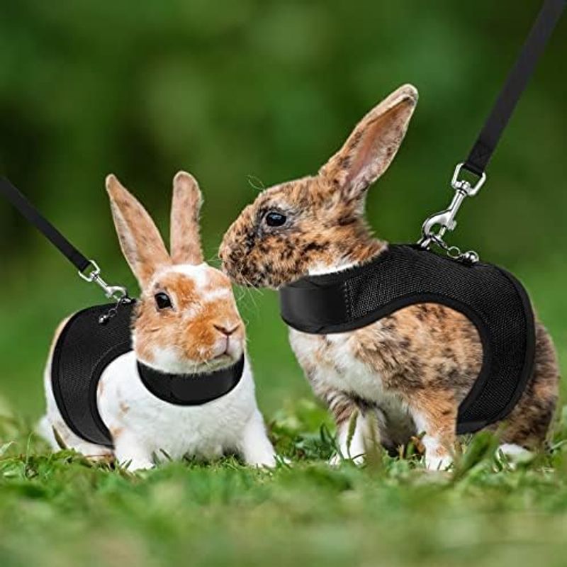  harness lead small animals for Pawaboo... for touch fasteners the best Harness traction rope bell attaching harness coming off difficult installation easy the first heart 