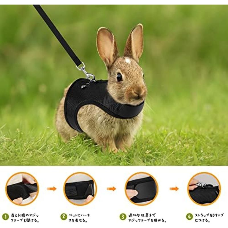  harness lead small animals for Pawaboo... for touch fasteners the best Harness traction rope bell attaching harness coming off difficult installation easy the first heart 