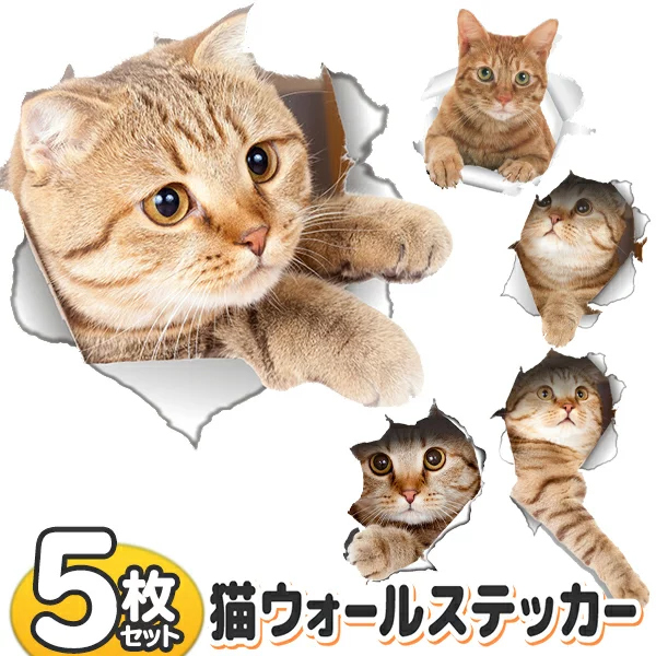  wall sticker cat 5 pieces set wall from stone chip puts out real 3D.. cat wallpaper seal Trick art interior animal seal free shipping / mail service S* jump .. cat DL