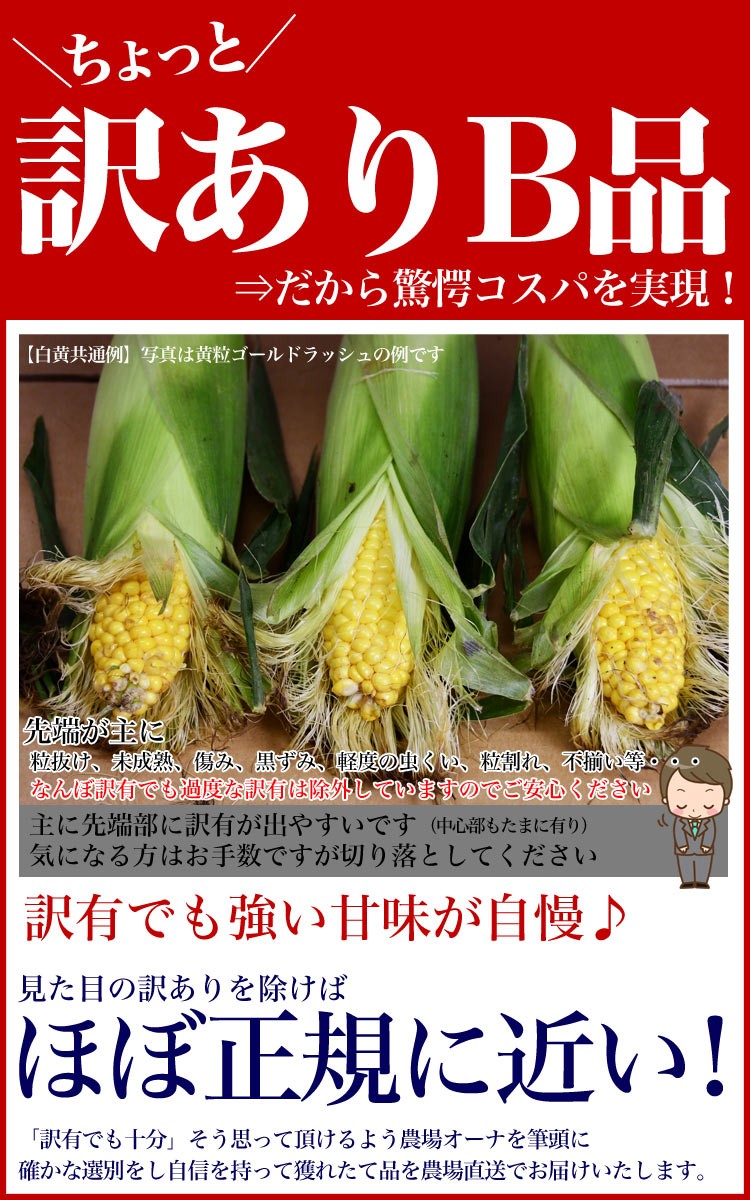  corn white bead with translation 20~30 rom and rear (before and after) Hokkaido production .. millet .. equipped translation have delivery day designation un- possible invalid 2024 year 8 month last third rom and rear (before and after) about .. order sequence . shipping 