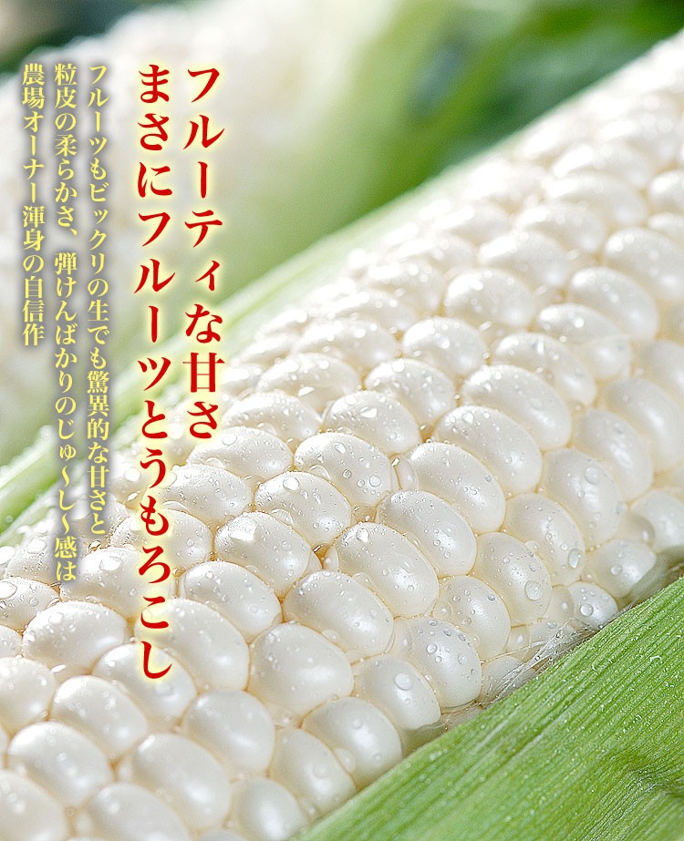  corn white bead with translation 20~30 rom and rear (before and after) Hokkaido production .. millet .. equipped translation have delivery day designation un- possible invalid 2024 year 8 month last third rom and rear (before and after) about .. order sequence . shipping 