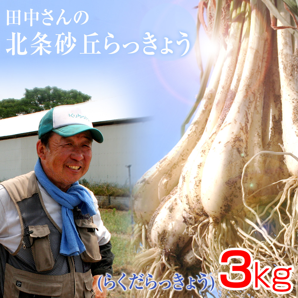  Tottori prefecture production special cultivation rice field middle san. north article sand . rakkyou 3kg( root attaching earth attaching ... rakkyou domestic production ) free shipping ( Hokkaido * Okinawa excepting )