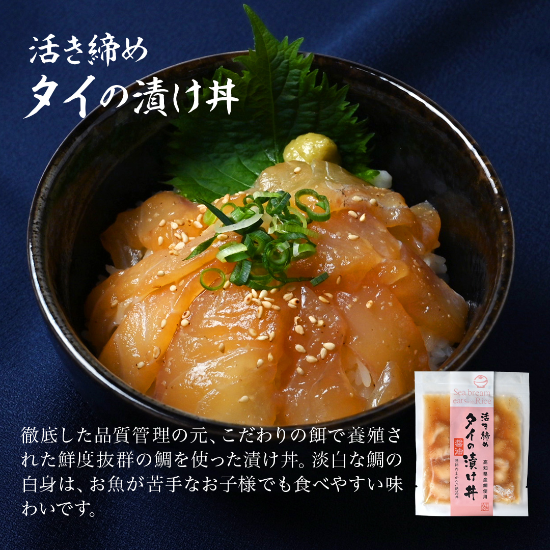  seafood porcelain bowl 5 kind [ free shipping ] seafood gift your order your order fish sashimi Kochi seafood practical seafood campag chi yellowtail . mackerel seafood 