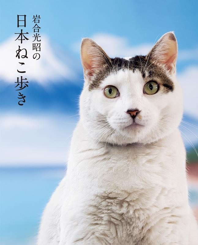 岩合光昭の日本ねこ歩き　岩合光昭の世界ネコ歩き 岩合光昭／著の商品画像