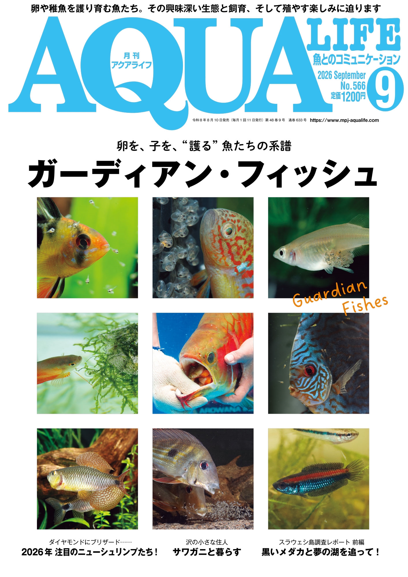 アクアライフ (2016年1月〜2018年12月) 月刊アクアライフ 2026年9月号 （エムピージェー） ペット、動物