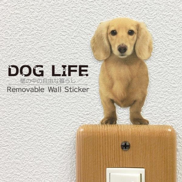 DOG LIFE Color собака жизнь цвет [ Dux fndo крем B] собака цвет настенный стикер 