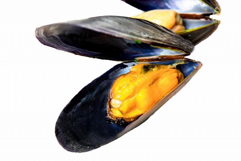  mussel 500g( Boyle . attaching mussel )