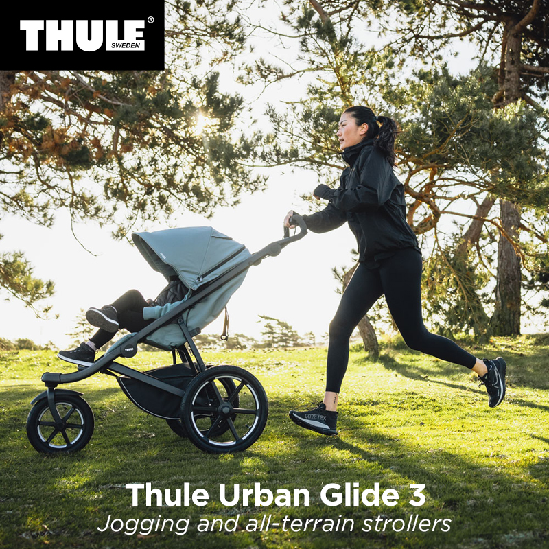 [ стандартный товар ]Thule Urban Glide 3( Thule urban g ride 3)jo серебристый g коляска ( коляска / -тактный ролик )