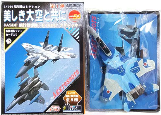 童友社 美しき大空と共に JASDF 飛行教導隊 F-15DJ アグレッサー （1