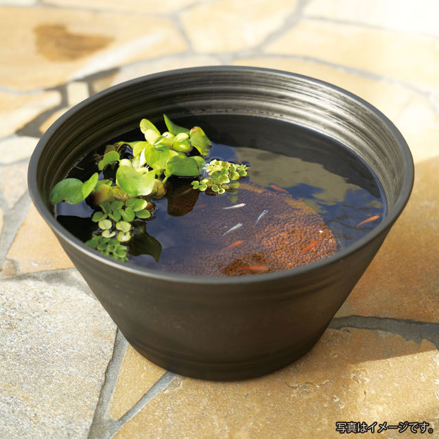  Kotobuki medaka jpy water pot black diameter 39cm resin made me Dakar pot 
