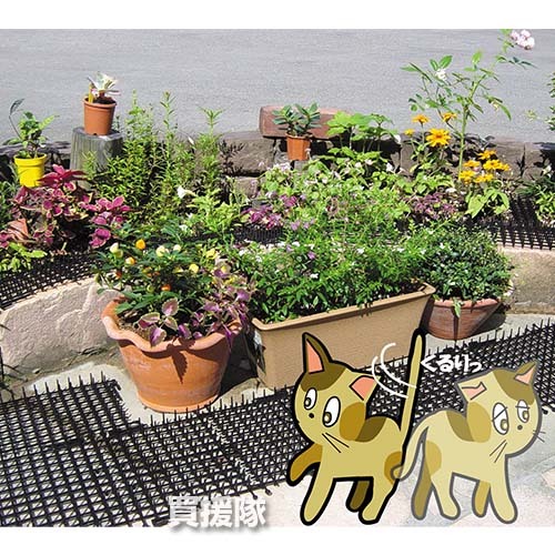  защита от кошек здесь dame сиденье 30cm×2m шт 12 шт. комплект первый винил 