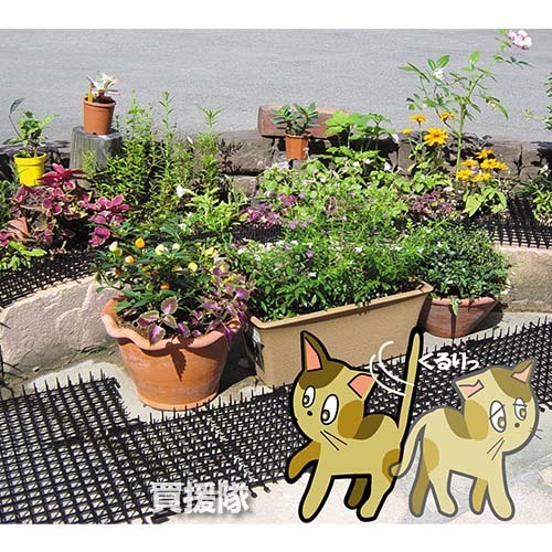  защита от кошек здесь dame сиденье 30cm×2m шт первый винил 