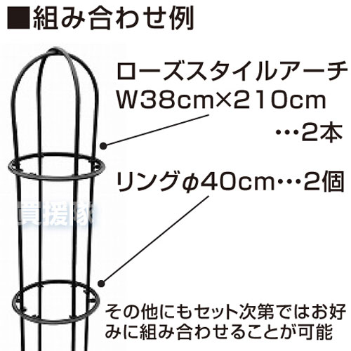 rose стиль для кольцо Φ40cm RR400 первый винил 
