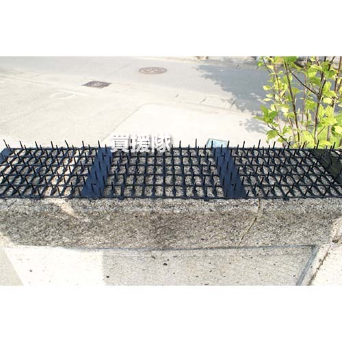  защита от кошек здесь dame сиденье 12cm×2m шт тонкий 24 шт. комплект первый винил 