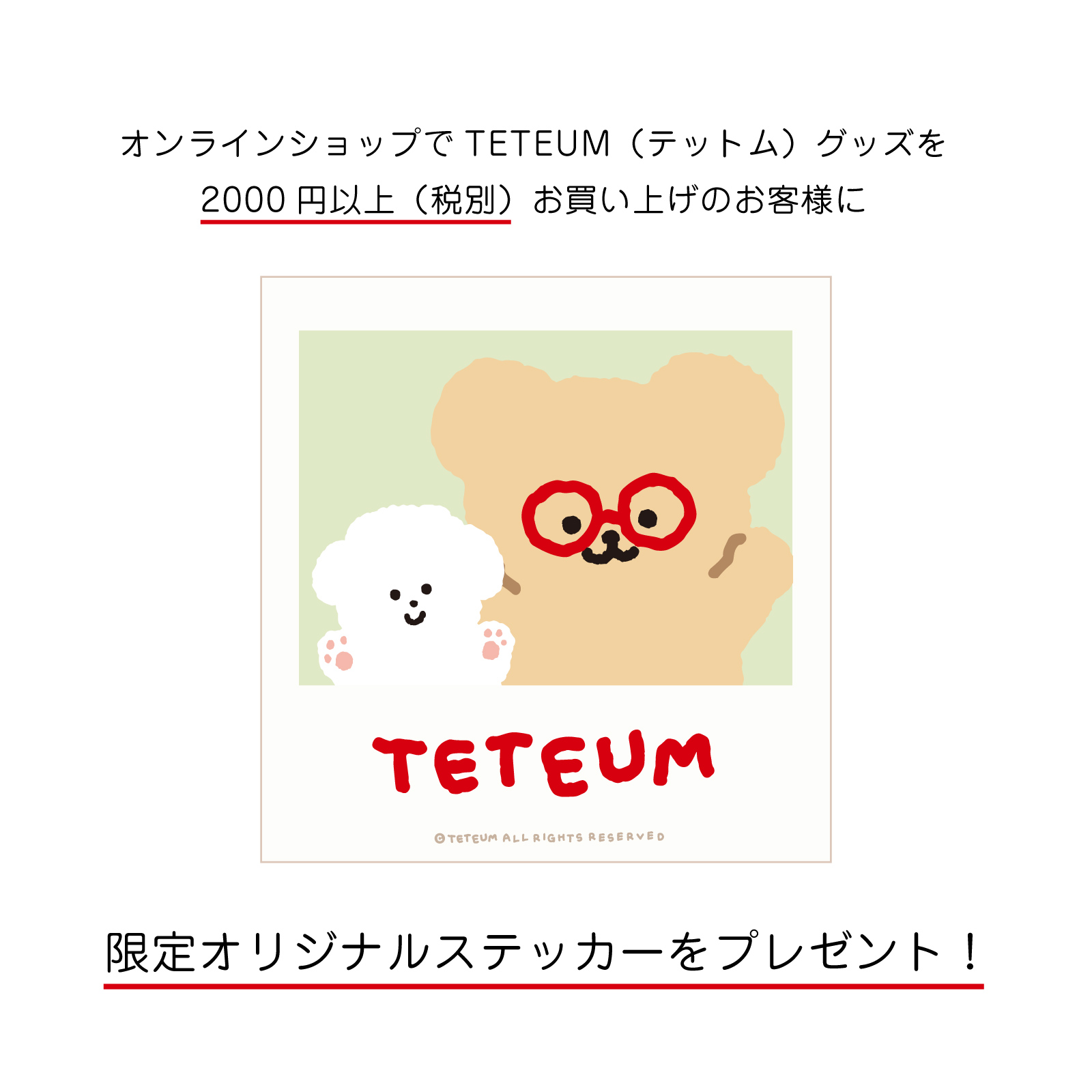 TETEUM(te Tom ) лента для волос T'S FACTORY