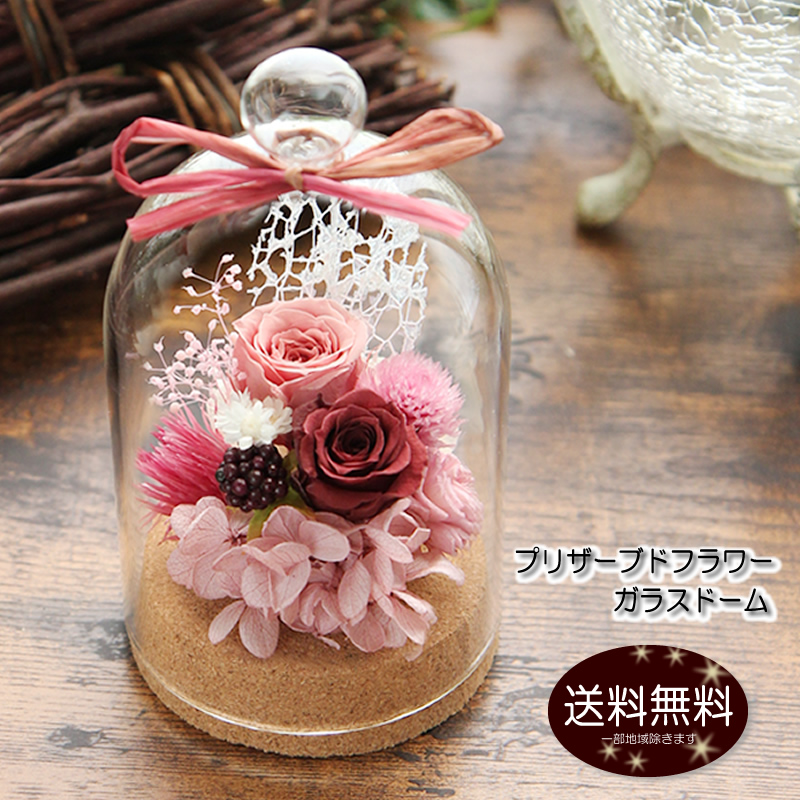  preserved flower present flower gift happy glass dome glass case entering marriage memory day free shipping birthday . industry festival . go in . festival .. job festival .