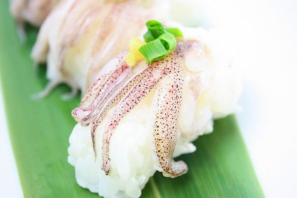 yali кальмар ..20 листов суши шуточный товар sashimi использовать . кальмар .. кальмар geso.... кальмар внизу пара 