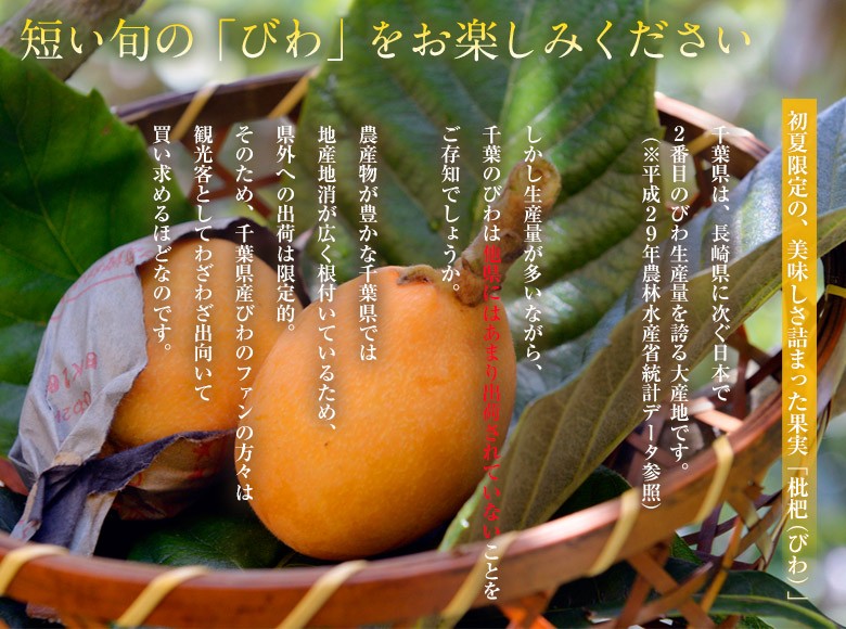 Chiba префектура производство [.. локва ] максимальный класс 4L размер 12 шар ввод * рефрижератор *