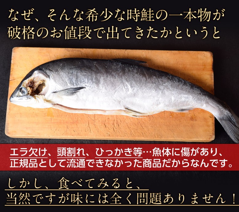 { бесплатная доставка } Hokkaido производство есть перевод царапина отрицательный . час лосось 1 хвост примерно 1.5kg sea *