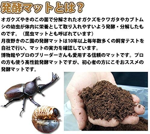 ki. .MAT-[50L]( insect mat * departure . mat )[ free shipping ]