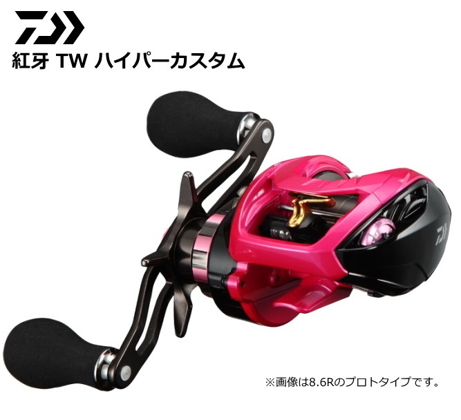 DAIWA（釣り） 18 紅牙 TW ハイパーカスタム 4.9R-RM 紅牙 釣り ベイト